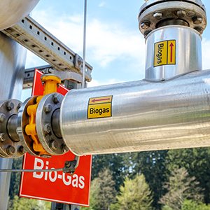 H2S Removal From Biogas