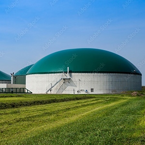 Ammonia Removal