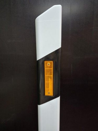 30006_