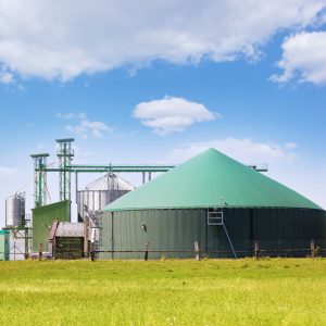 Biogas Treatment