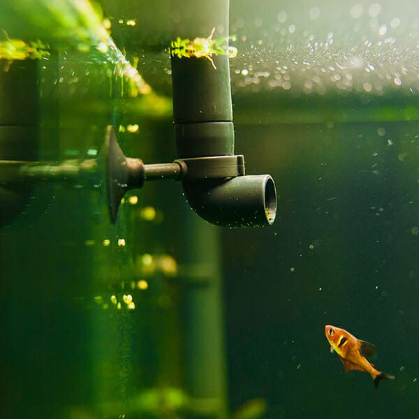 为水族箱过滤器制造商供应活性炭